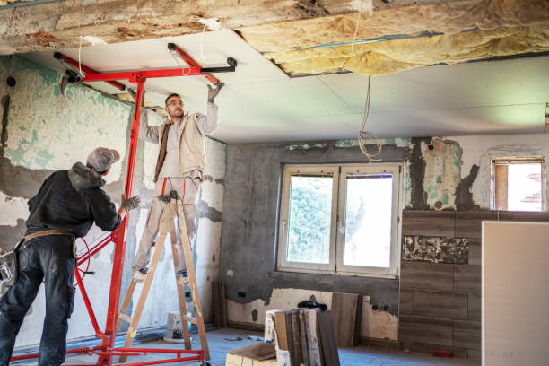 Best Spray Foam Insulation  in Rapid City, MI